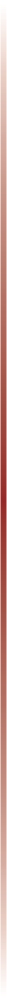 linie